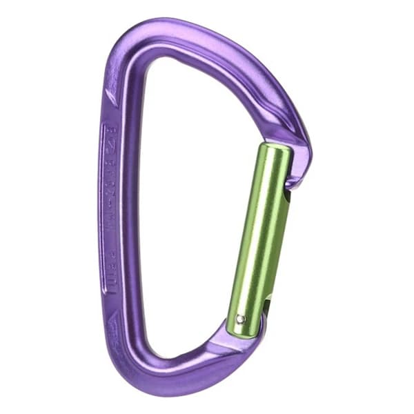 Карабинер с щифт Wild country Session Straight Gate Snapgate carabiner - Purple / Green