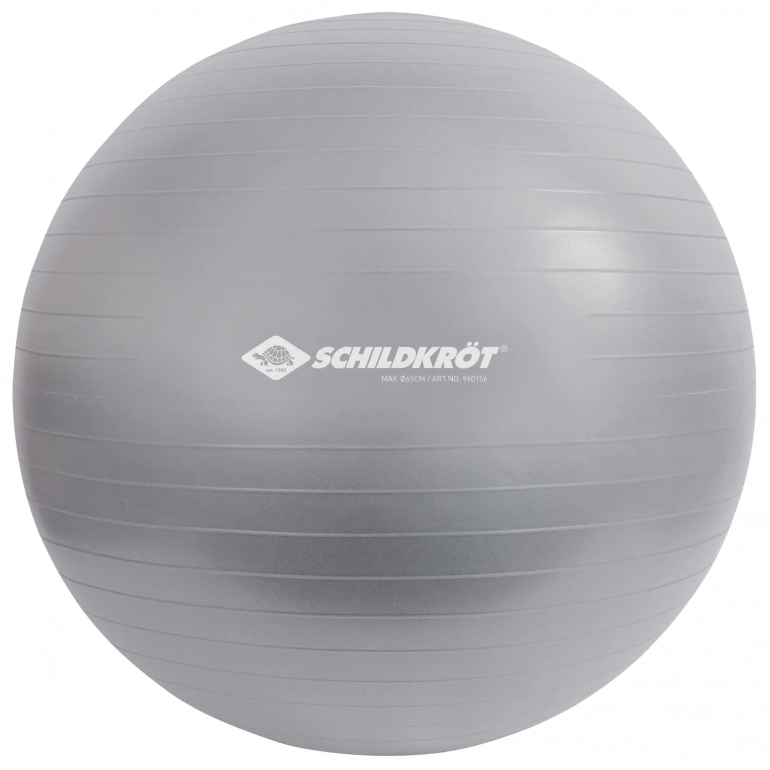 Гимнастическа топка Schildkröt Fitness Gymnastikball Functional training - Light Grey